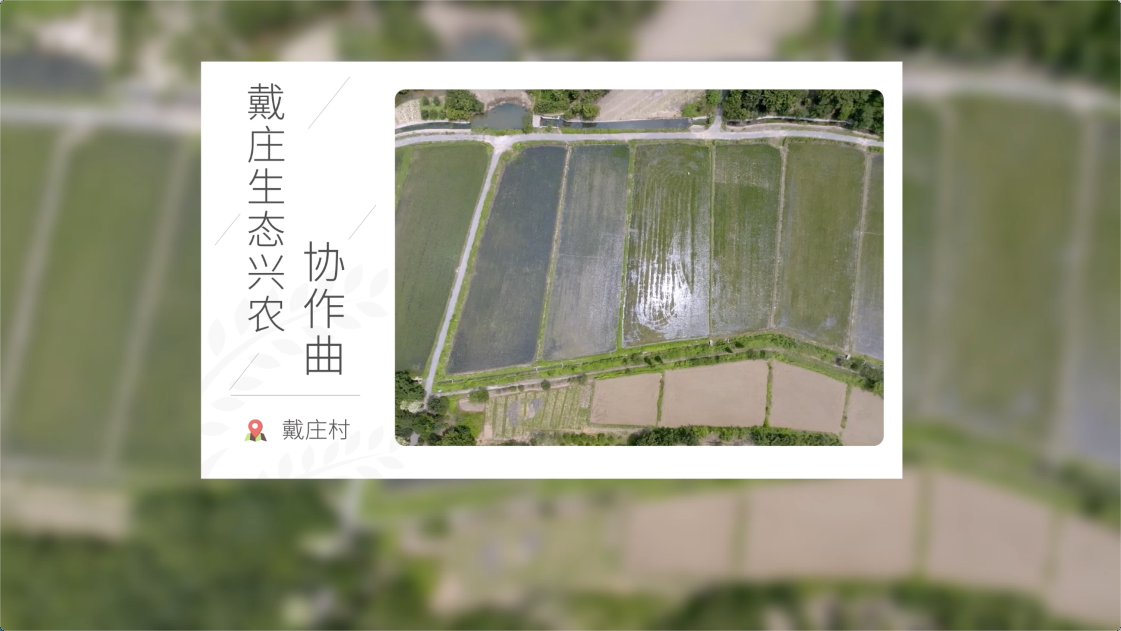  戴庄《我和我的村庄》