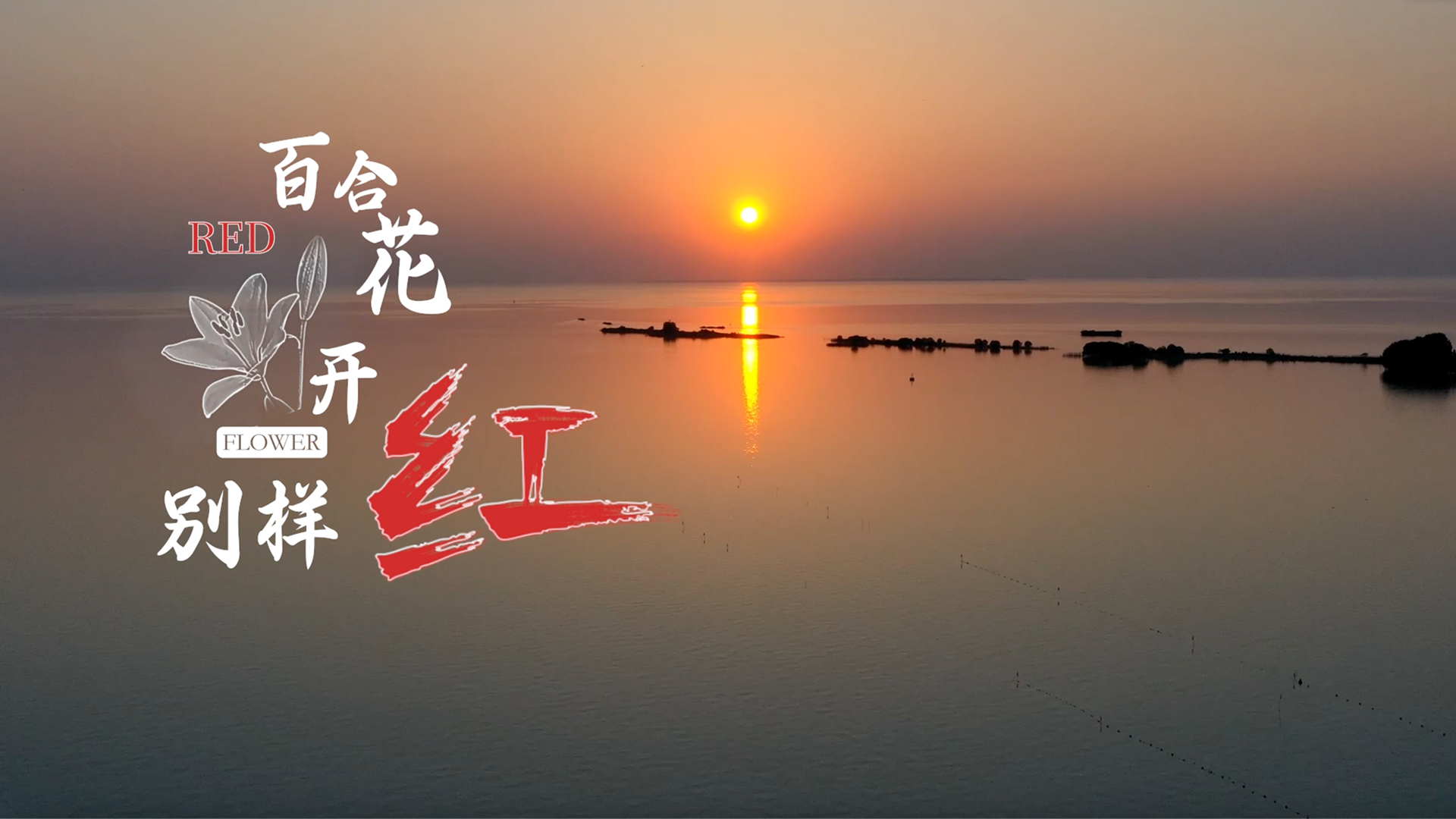  《百合花开别样红》视频过大